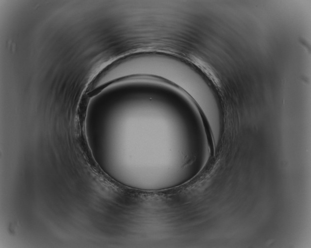 X0000093760876200710161221