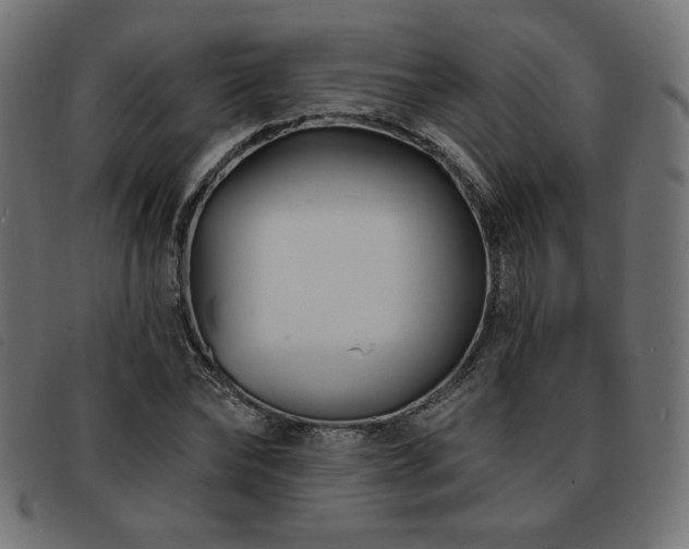 X0000093760878200710161221