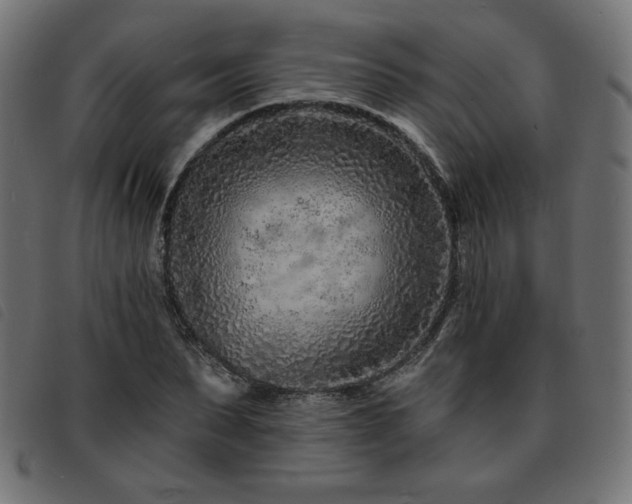 X0000093760879200710161221