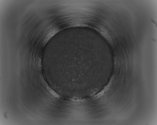 X0000093760881200710161221