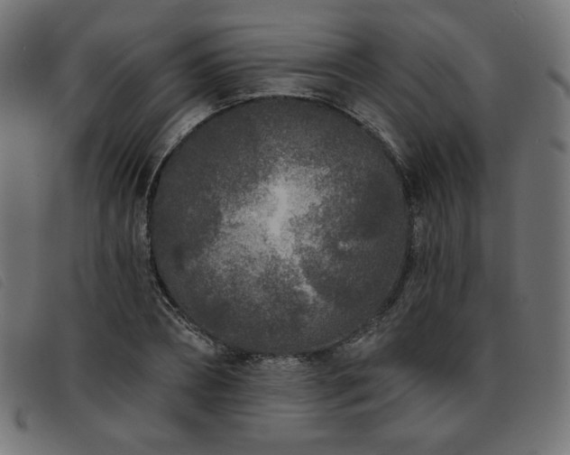 X0000093760882200710161221