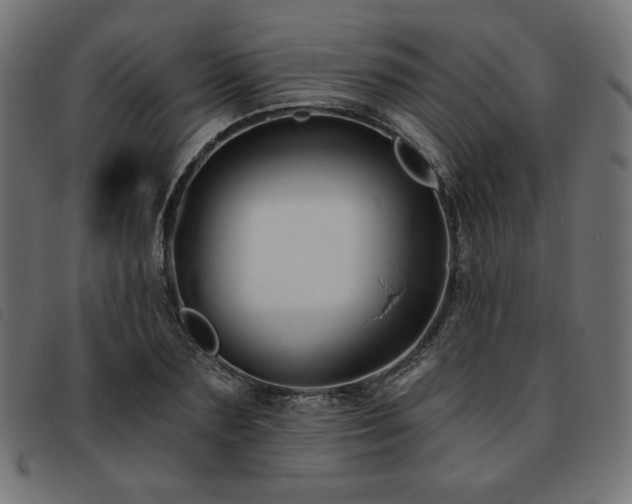 X0000093760883200710161221