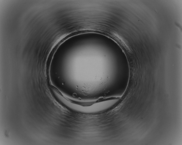 X0000093760884200710161221