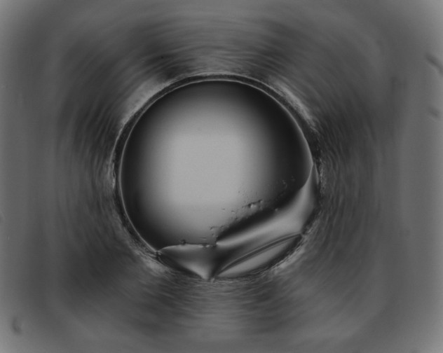 X0000093760885200710161221