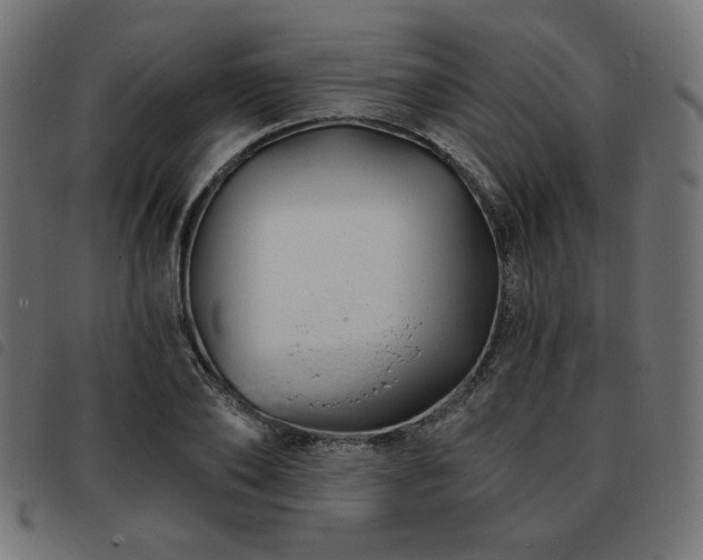 X0000093760886200710161221