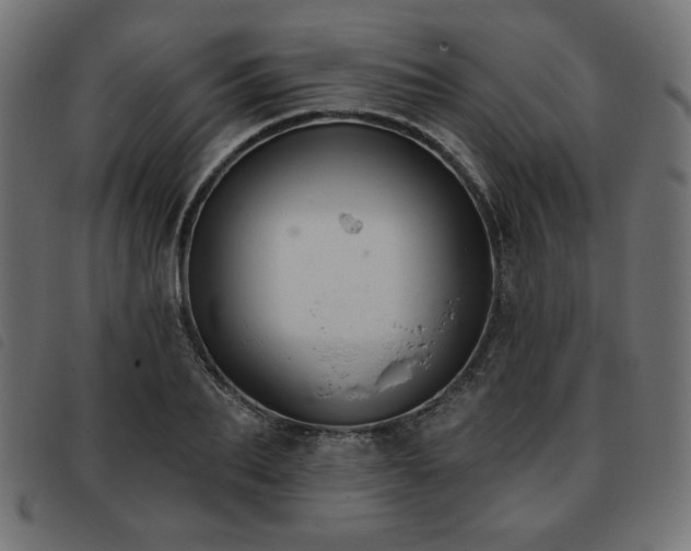 X0000093760887200710161221
