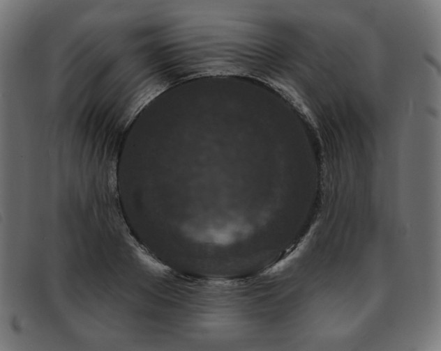 X0000093760889200710161221