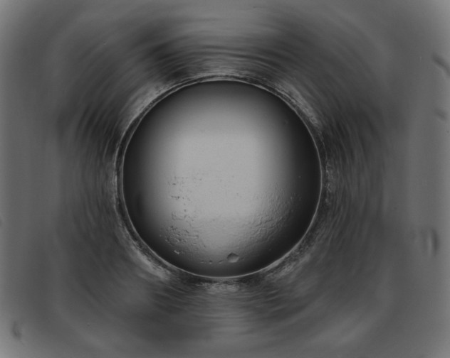 X0000093760890200710161221