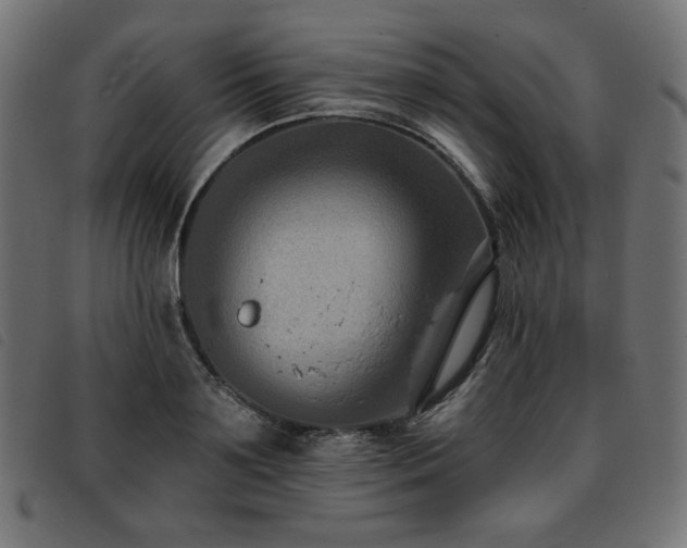 X0000093760891200710161221