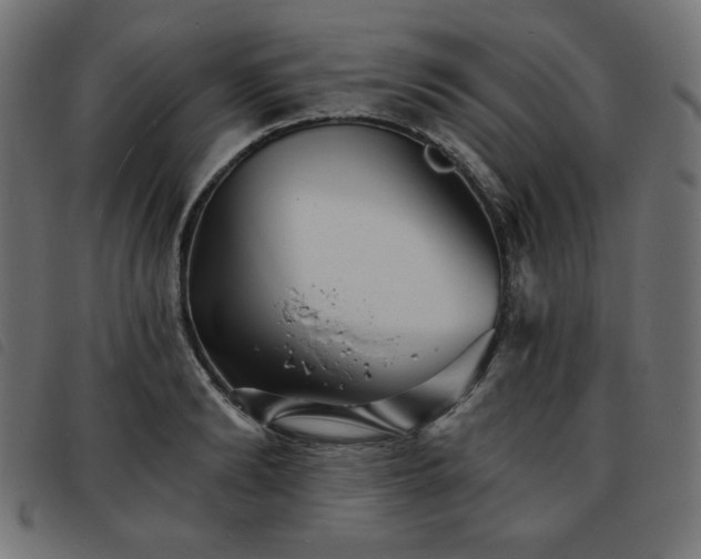 X0000093760894200710161221