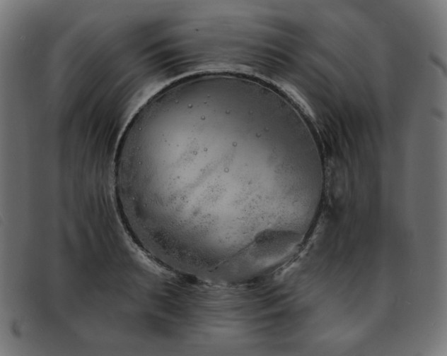 X0000093760895200710161221