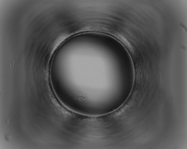 X0000093760896200710161221