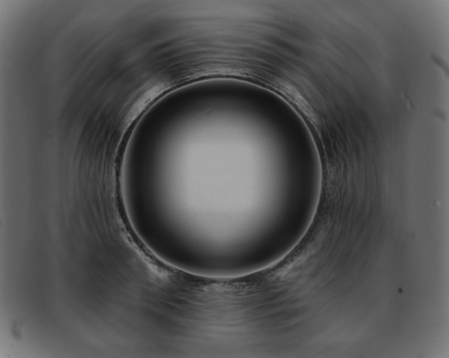 X0000093760898200710161221