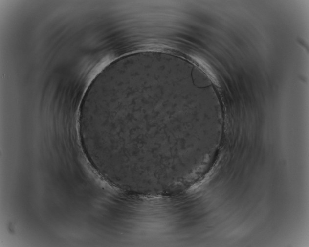 X0000093760899200710161221