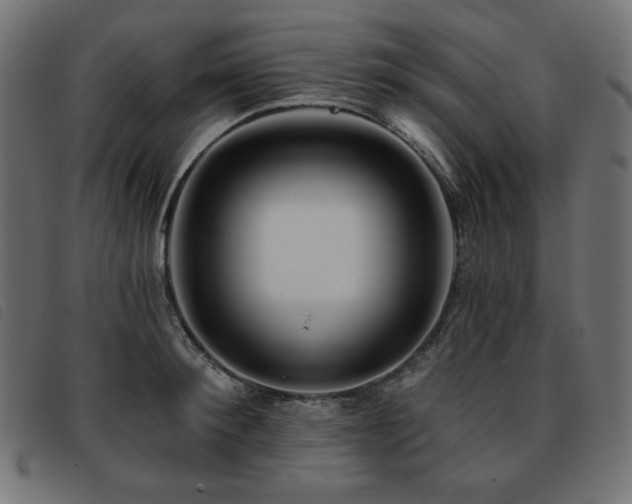 X0000093760900200710161221