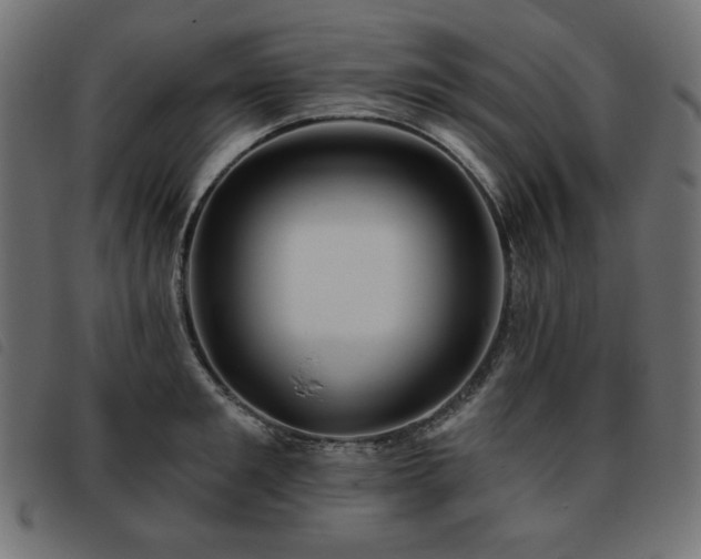 X0000093760901200710161221