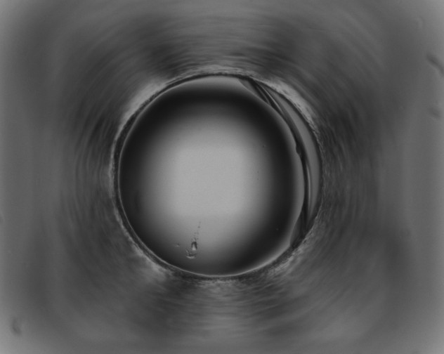 X0000093760902200710161221
