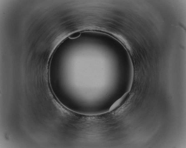 X0000093760903200710161221