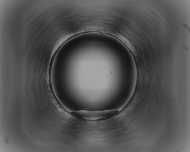 X0000093760904200710161221