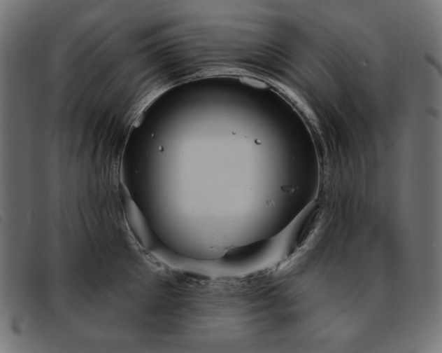X0000093760905200710161221