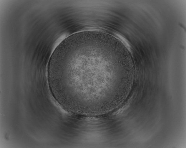 X0000093760907200710161221