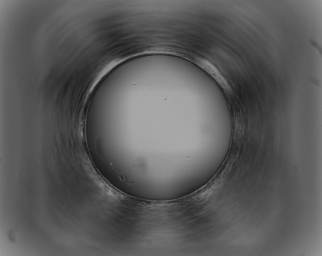 X0000093760908200710161221