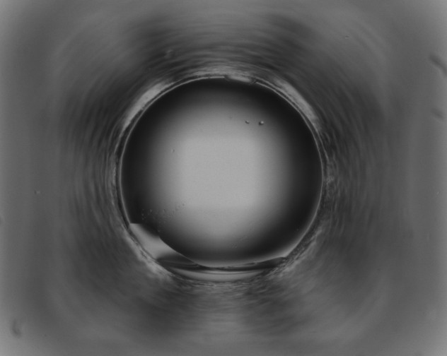 X0000093760909200710161221