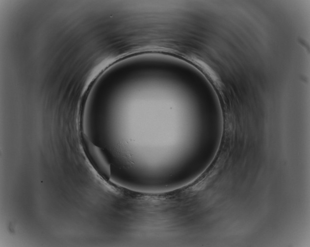 X0000093760910200710161221
