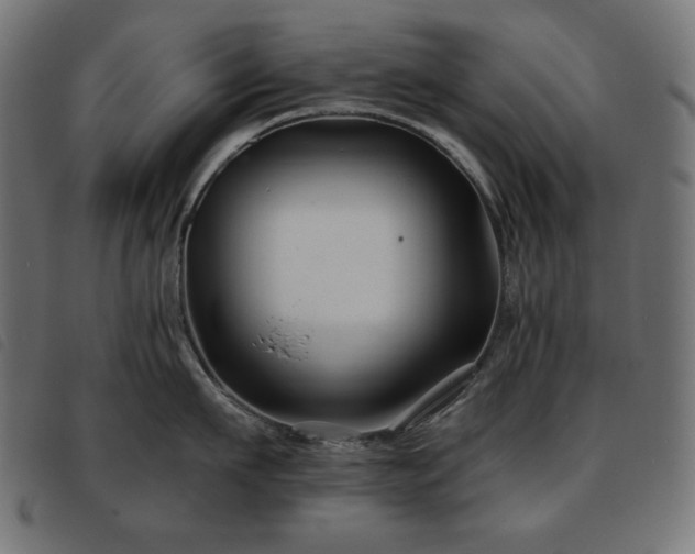 X0000093760911200710161220