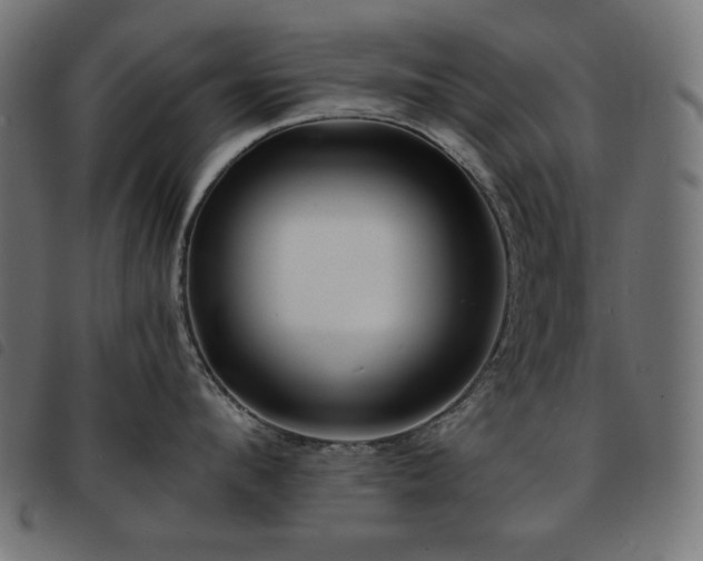 X0000093760912200710161220