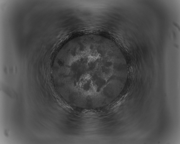 X0000093760913200710161220