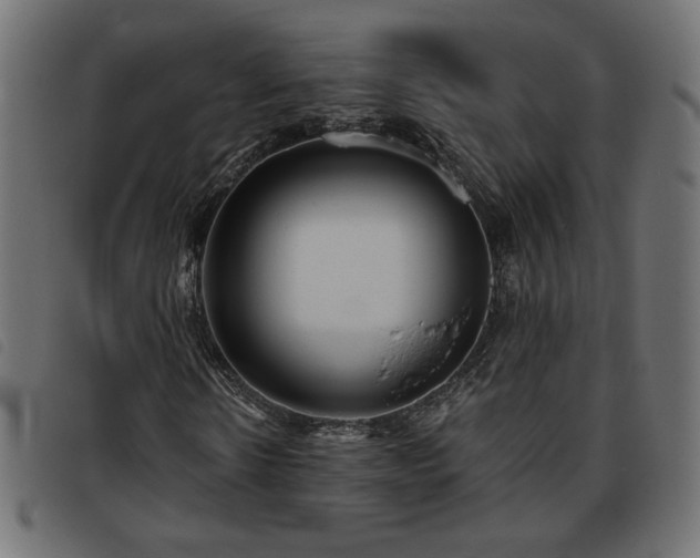 X0000093760914200710161220