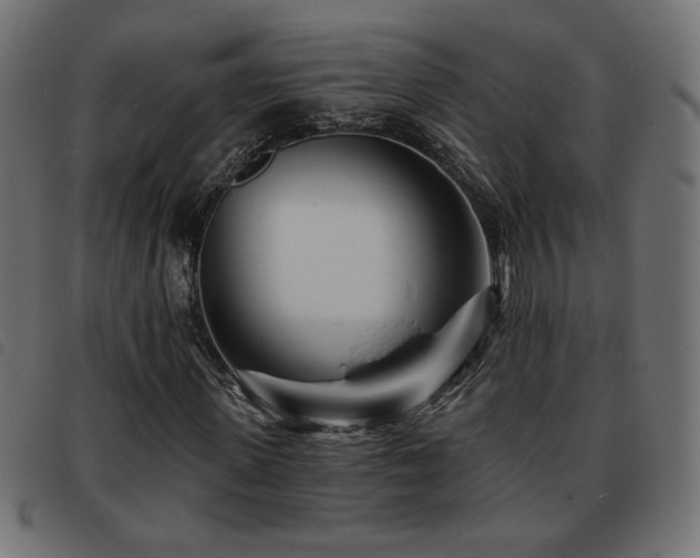 X0000093760915200710161220