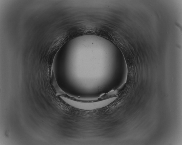 X0000093760916200710161220