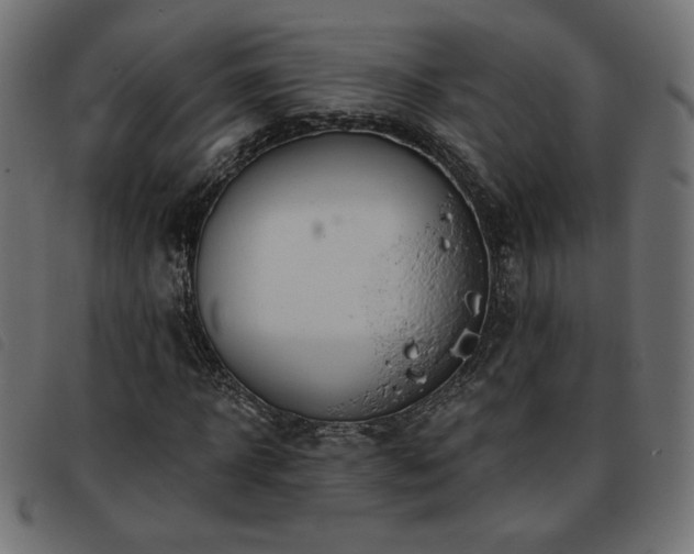 X0000093760918200710161220