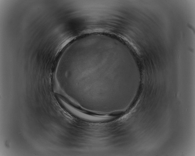 X0000093760921200710161220