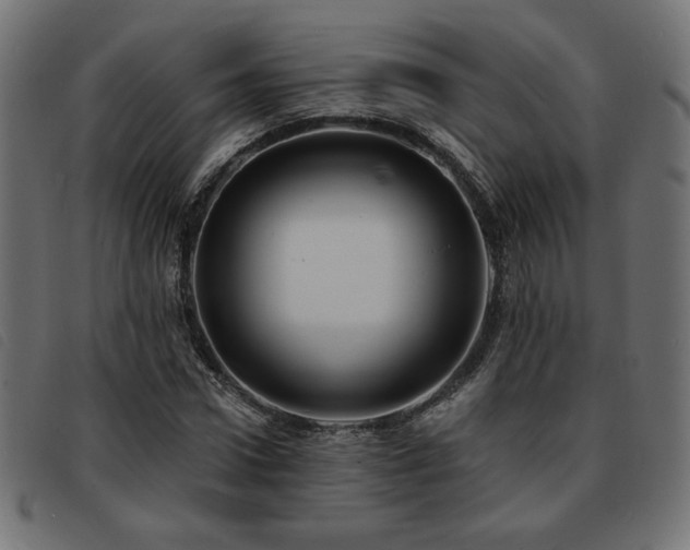 X0000093760922200710161220
