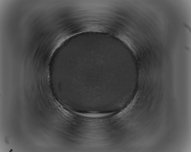 X0000093760923200710161220