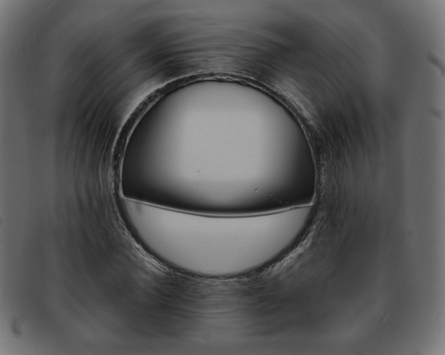 X0000093760924200710161220
