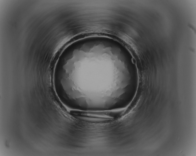 X0000093760925200710161220