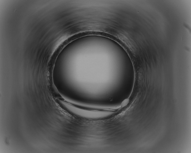X0000093760926200710161220
