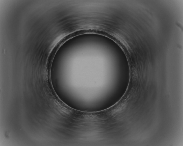 X0000093760927200710161220