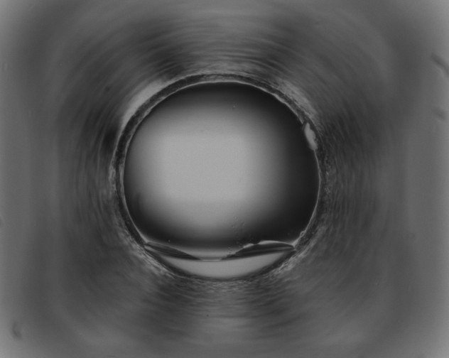 X0000093760928200710161220
