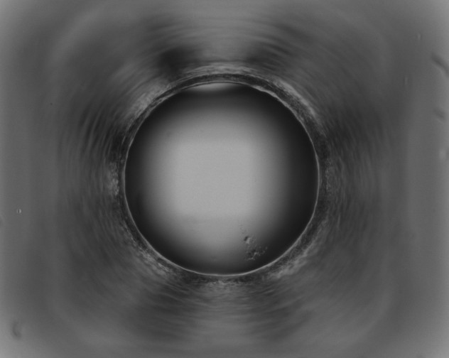 X0000093760929200710161220