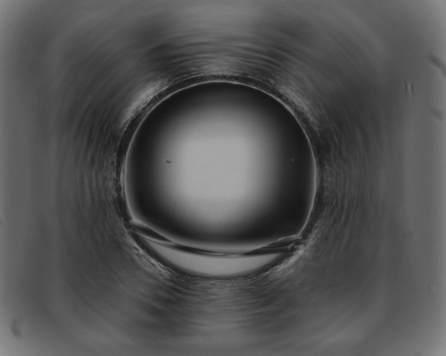 X0000093760930200710161220