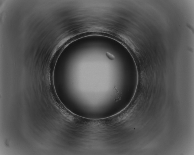 X0000093760931200710161220