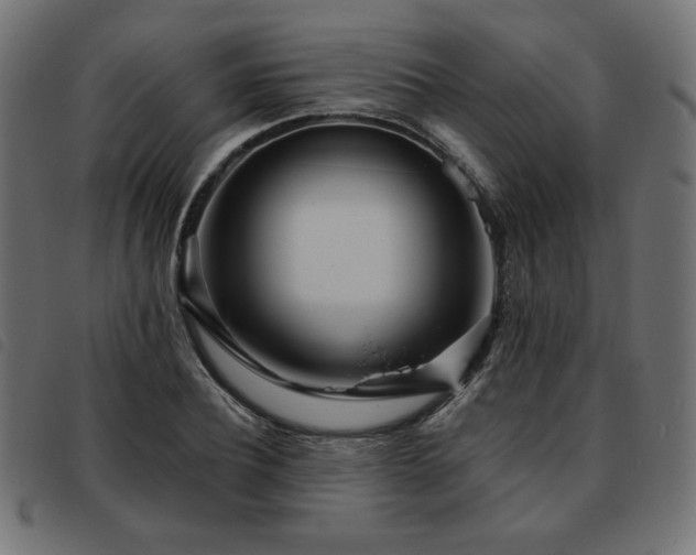 X0000093760932200710161220