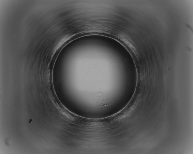 X0000093760933200710161220