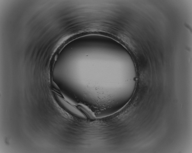 X0000093760934200710161220