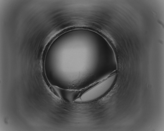 X0000093760935200710161220